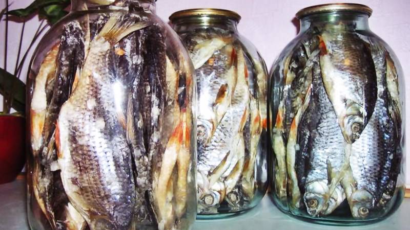 Сушеная рыба: как и сколько солить рыбу перед сушкой