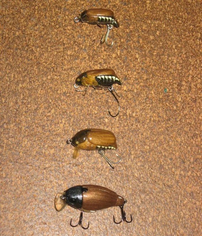 Ловля голавля на майского жука: снасти и эффективная тактика