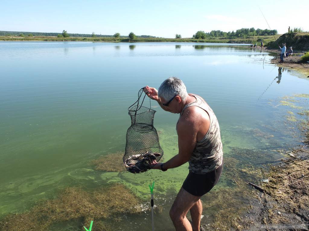 Рыбалка на дону в воронеже и воронежской области