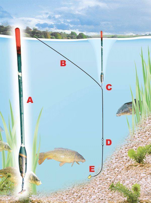 Рыбалка на линя поплавочной удочкой: снасть и оснастка, прикормка и наживки
