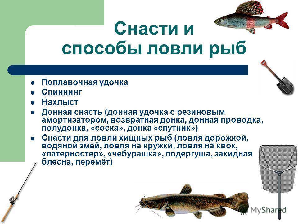 Что такое рыбалка: способы ловли, подготовка, выбор места