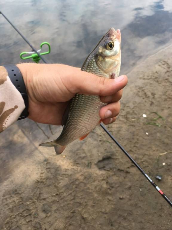 Рыбалка на каме