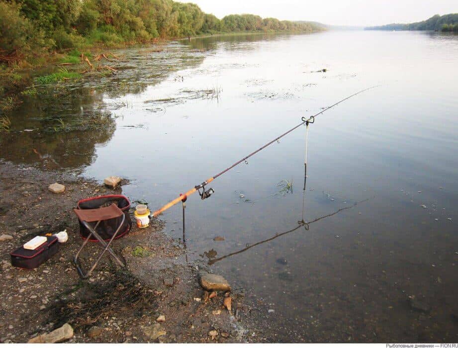 Ловля карпа в ноябре: особенности рыбалки – рыбалке.нет