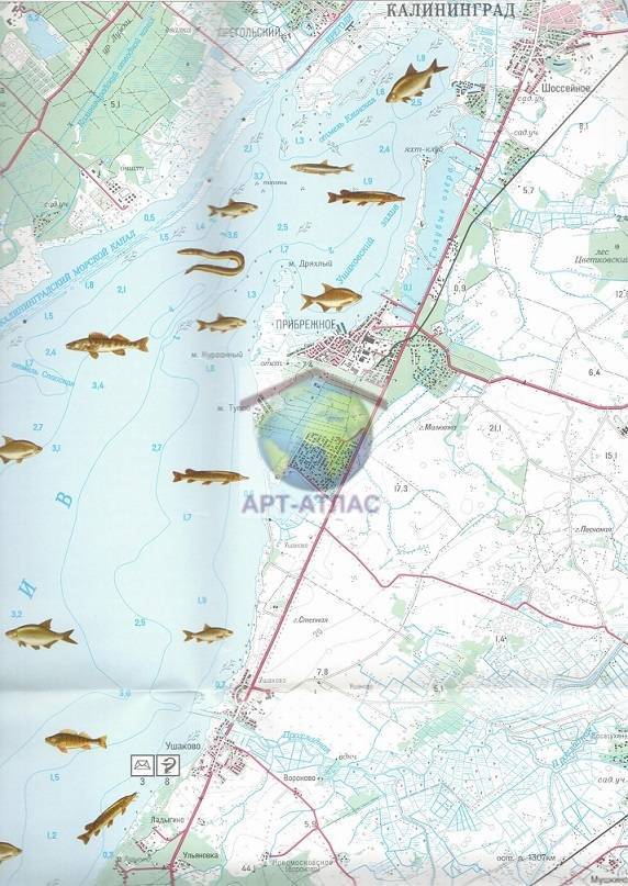 Куда поехать на рыбалку в калининградской области