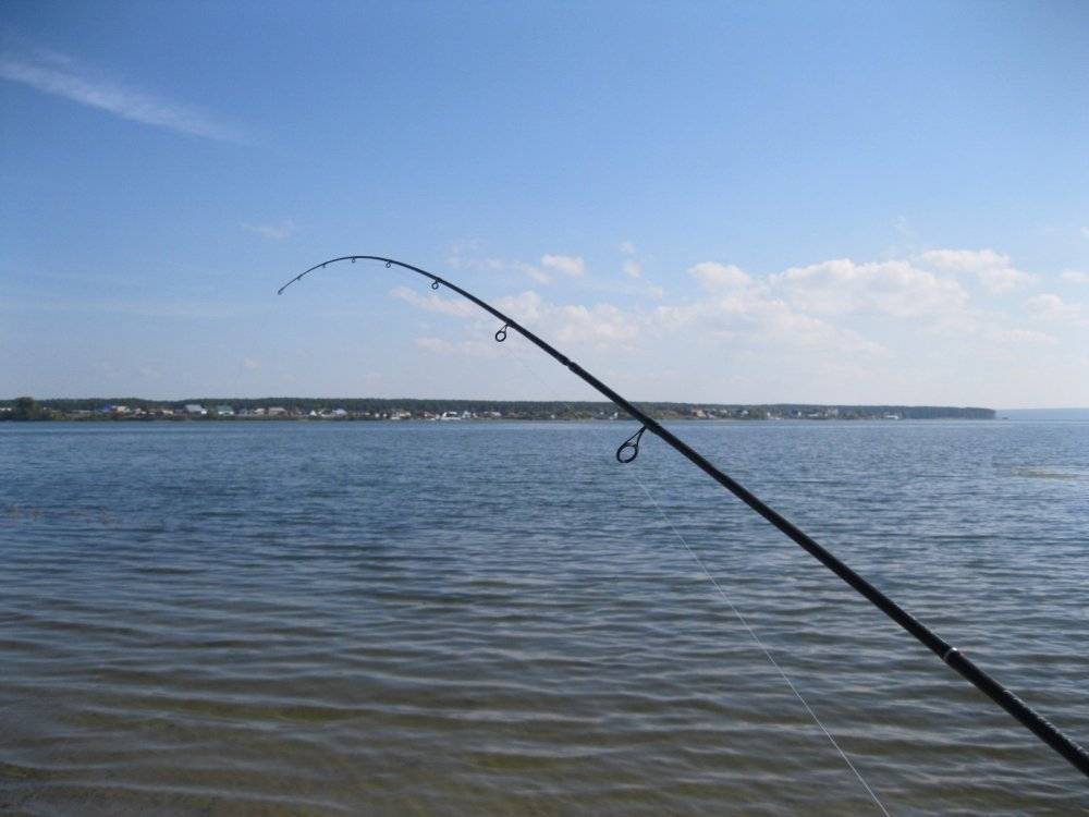 Как выбрать спиннинг начинающему рыболову