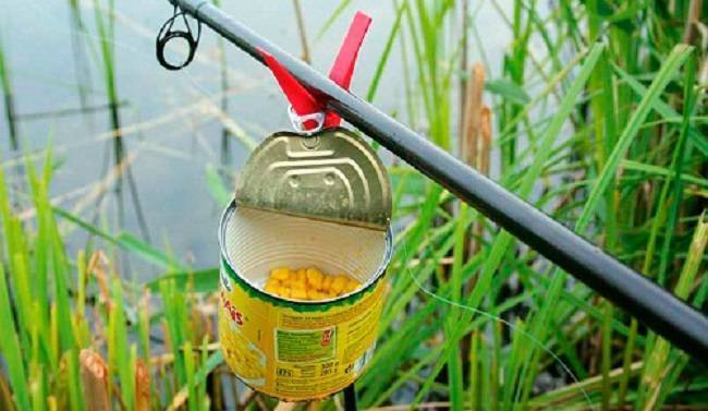 Как приготовить кукурузу для рыбалки на карпа