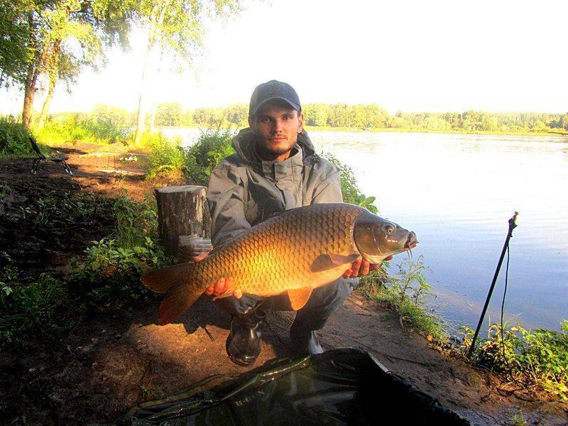 Рыбалка в Раменском районе Московской областии