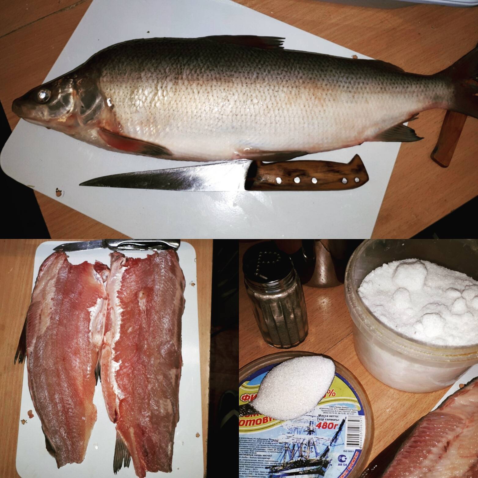 Северная рыба муксун – фото, где обитает, как ловить ее и что из нее приготовить