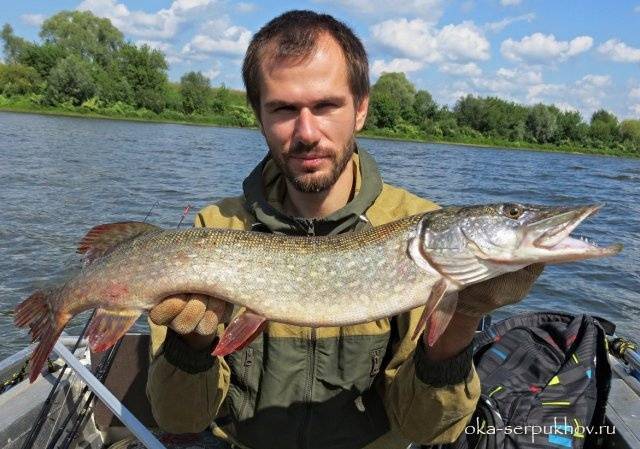 Рыбалка на реке ока в серпуховском районе