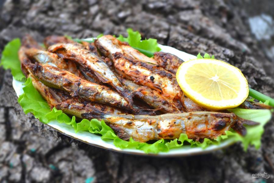 Шашлык из рыбы на шампурах на мангале: как приготовить на углях, рецепты