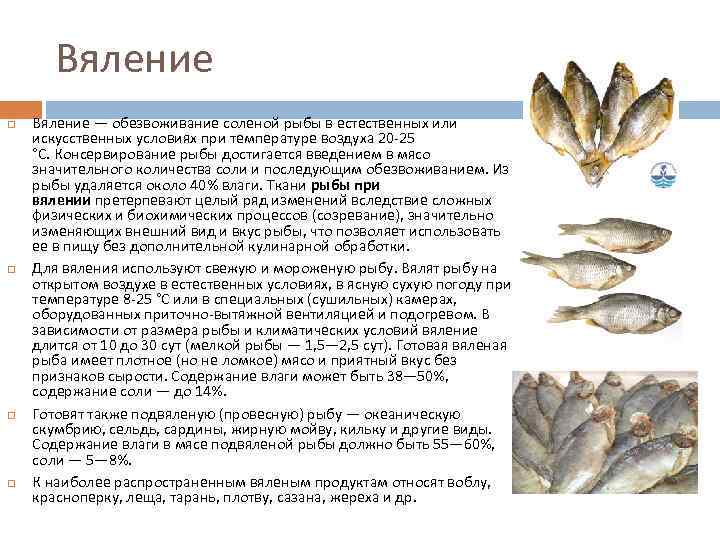 Все секреты правильной засолки и вяления рыбы в домашних условиях