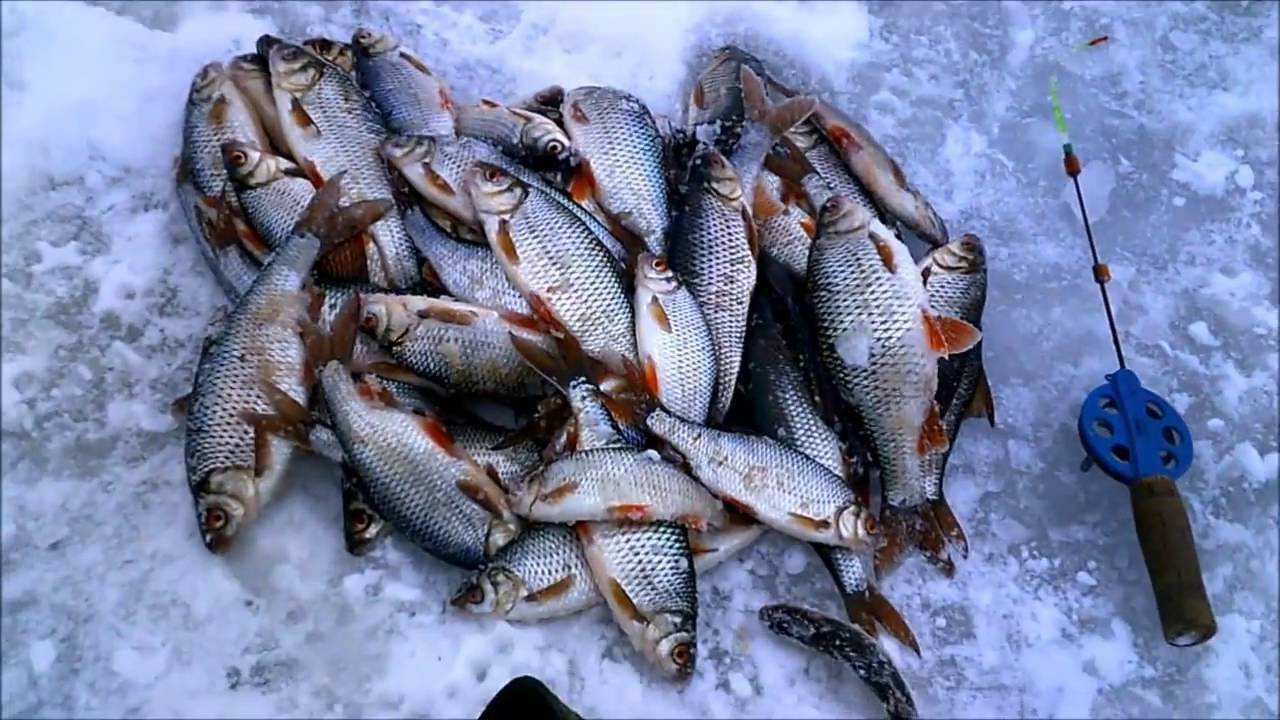 Рыбалка в Липецкой области зимой