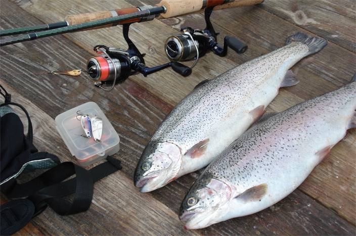 Ловля лосося нахлыстом и спиннингом - всё о рыбалке