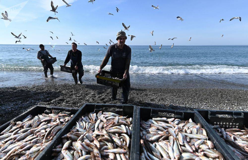Крым: ловись рыбка, хотя бы маленькая