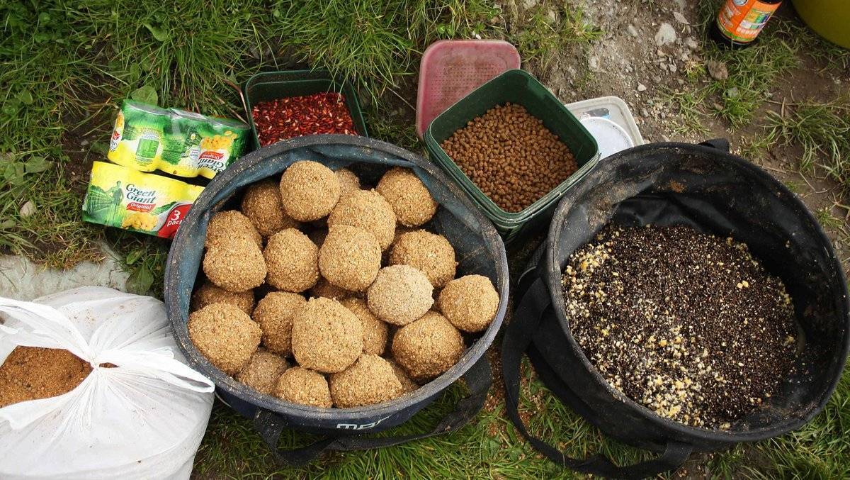 Каша для карпа: рецепты для ловли на пружину, кормушку, приготовление в домашних условиях
