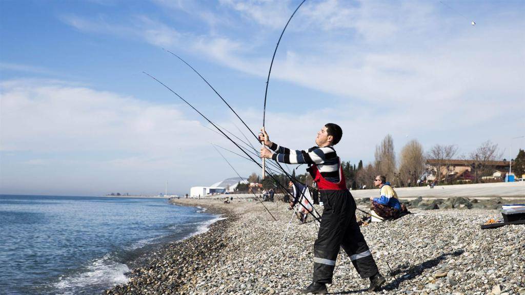 Спиннинги для морской рыбалки: как выбрать, обзор лучших удилищ, ловля с берега