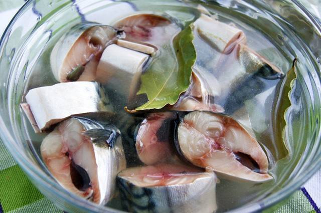 Пикантные маринады для приготовления рыбы на мангале