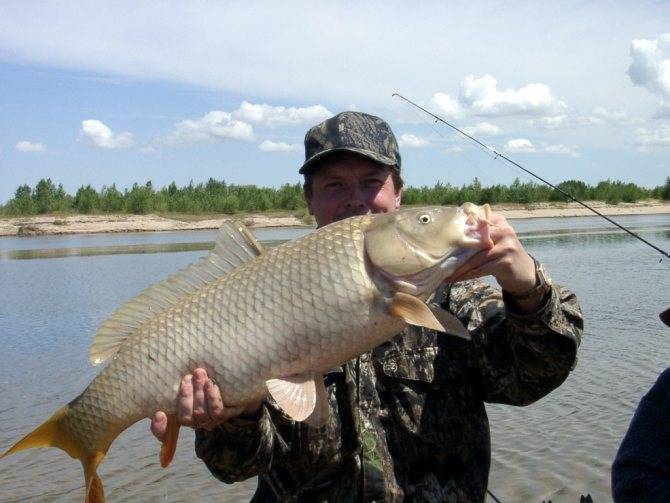 Firstfisher.ru – интернет-журнал о рыбалке и рыболовах.  рыбалка на плещеевом озере