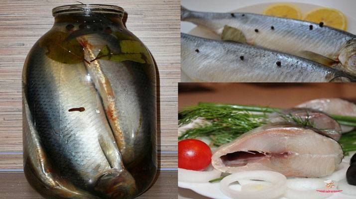 Как солить рыбу в домашних условиях по рецепту с фото