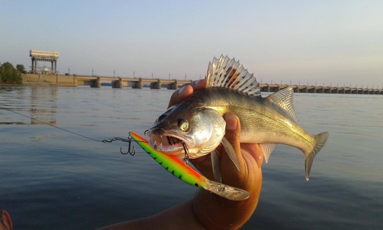Рыбалка на кольцо: ловля рыбы снастью, монтаж рыболовной оснастки. как можно рыбачить с берега?