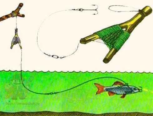 Ловля щуки на живца с берега и с лодки - рыбачок!сайт рыбачок