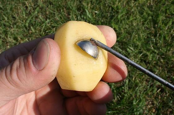 Секреты ловли карпа на картофельные насадки
