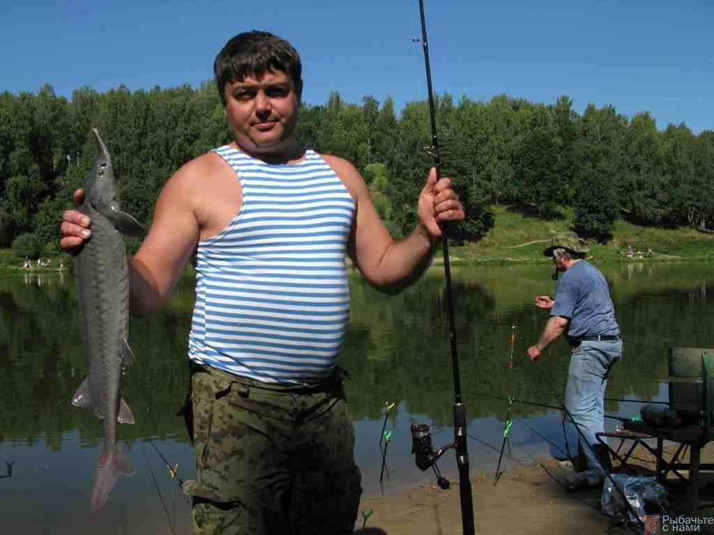 Прикормка для осетра - все про рыбалку