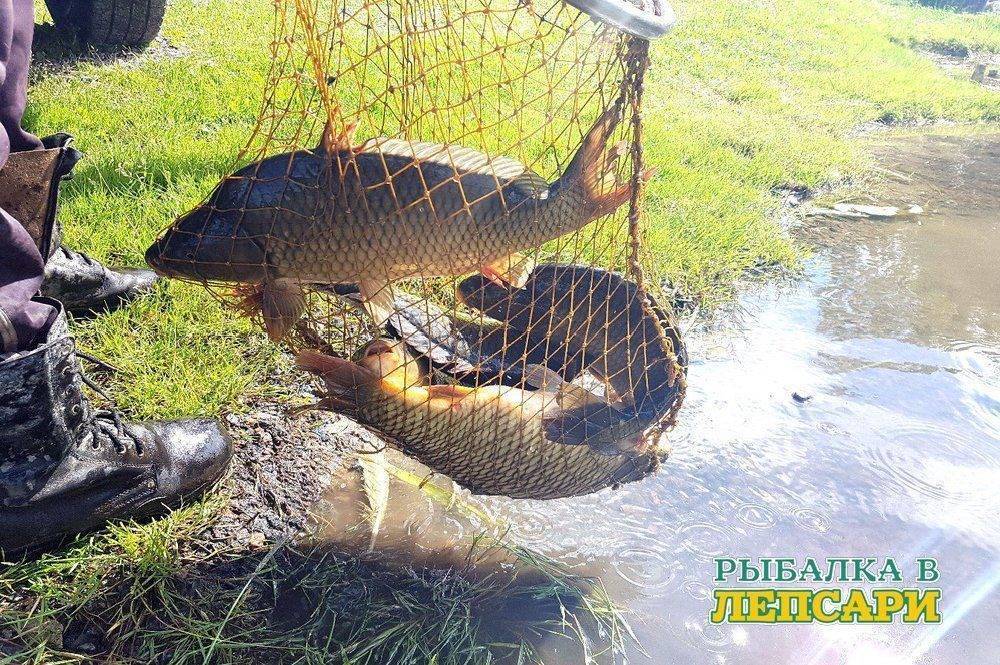 Рыбалка в саратовской области: лучшие места на карте топ-10