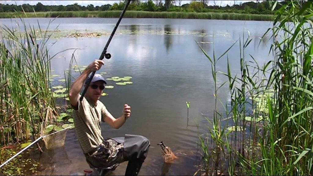 Ловля на поплавочную удочку: разновидности и правила оснащения. ловля поплавочной удочкой на течении. видео