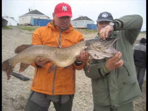 Места для рыбалки в московской области – платная и бесплатная рыбалка!