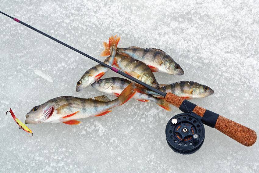 Балансиры для зимней рыбалки: как ловить, какую рыбу ловят на балансиры, удочки для зимней рыбалки и лучшие балансиры топ-10