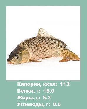 Карп — описание рыбы, польза и вред, как выбрать и рецепты приготовления на ydoo.info