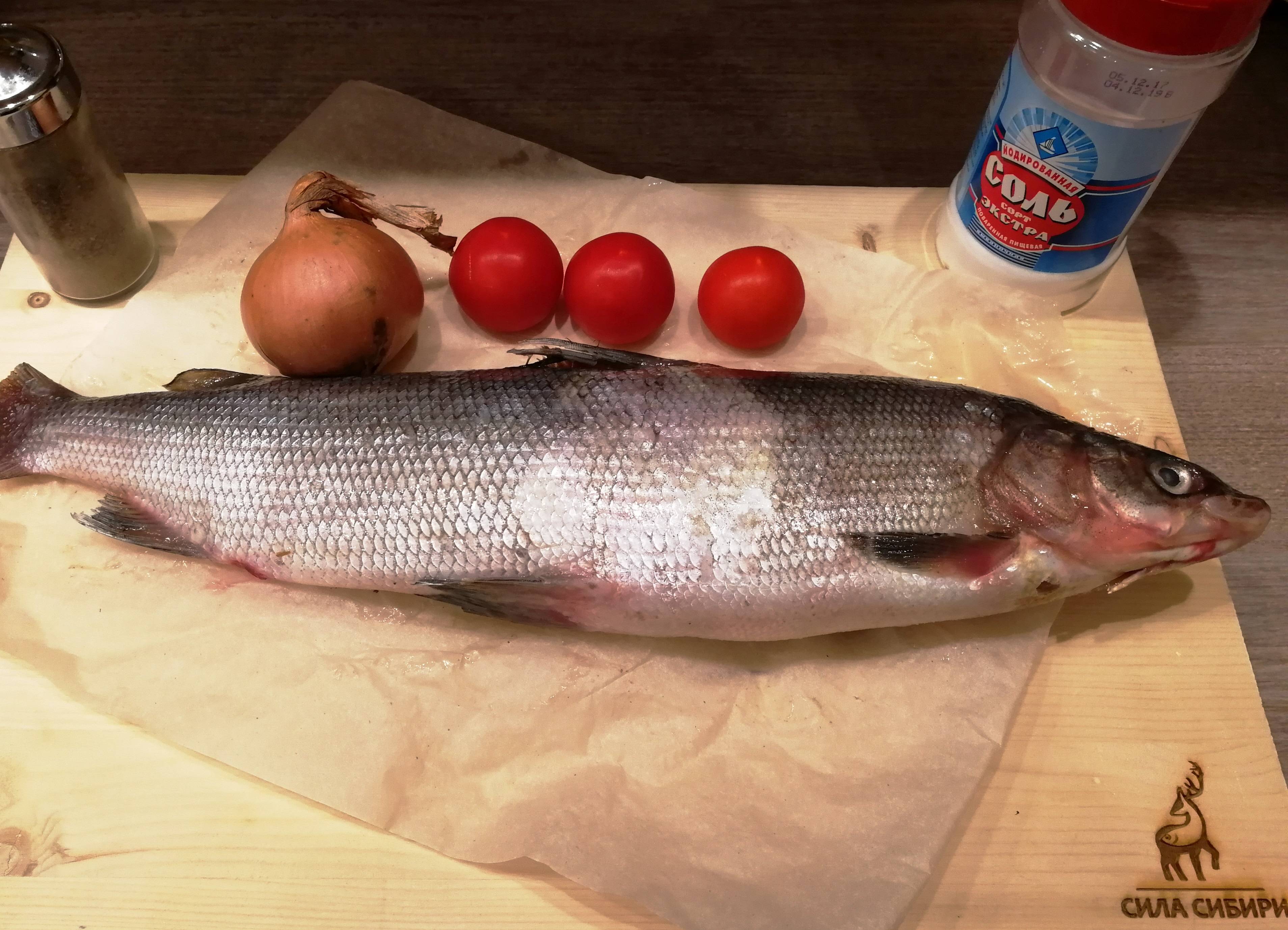 Рыба муксун: польза и свойства. как приготовить муксун и рецепты. женский сайт www.inmoment.ru