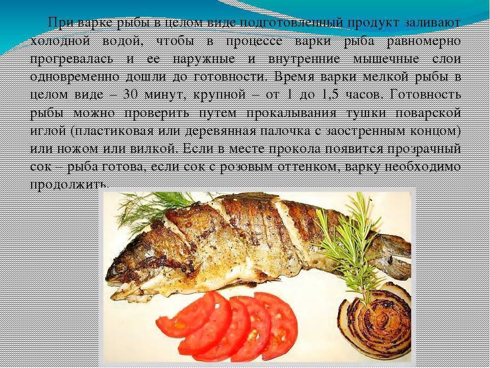 Сколько варить рыбу разных видов и сортов?