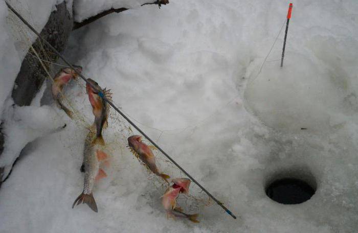 Рыболовная косынка, как сделать своими руками для ловли рыбы весной