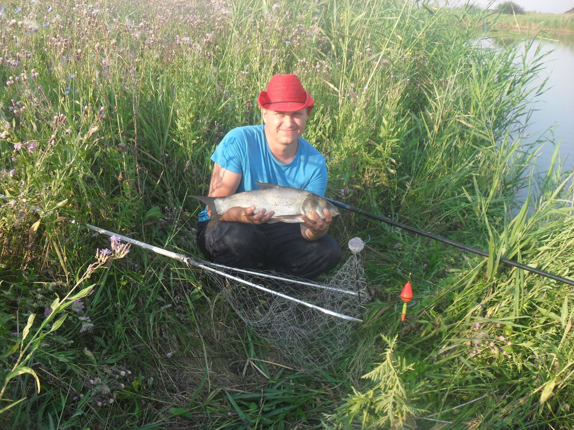 Отчет о рыбалке на толстолобика в Брестской области