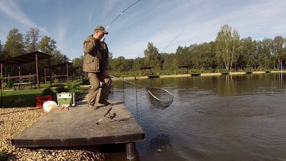Рыбалка в волгоградской области: лучшие места на карте топ-10
