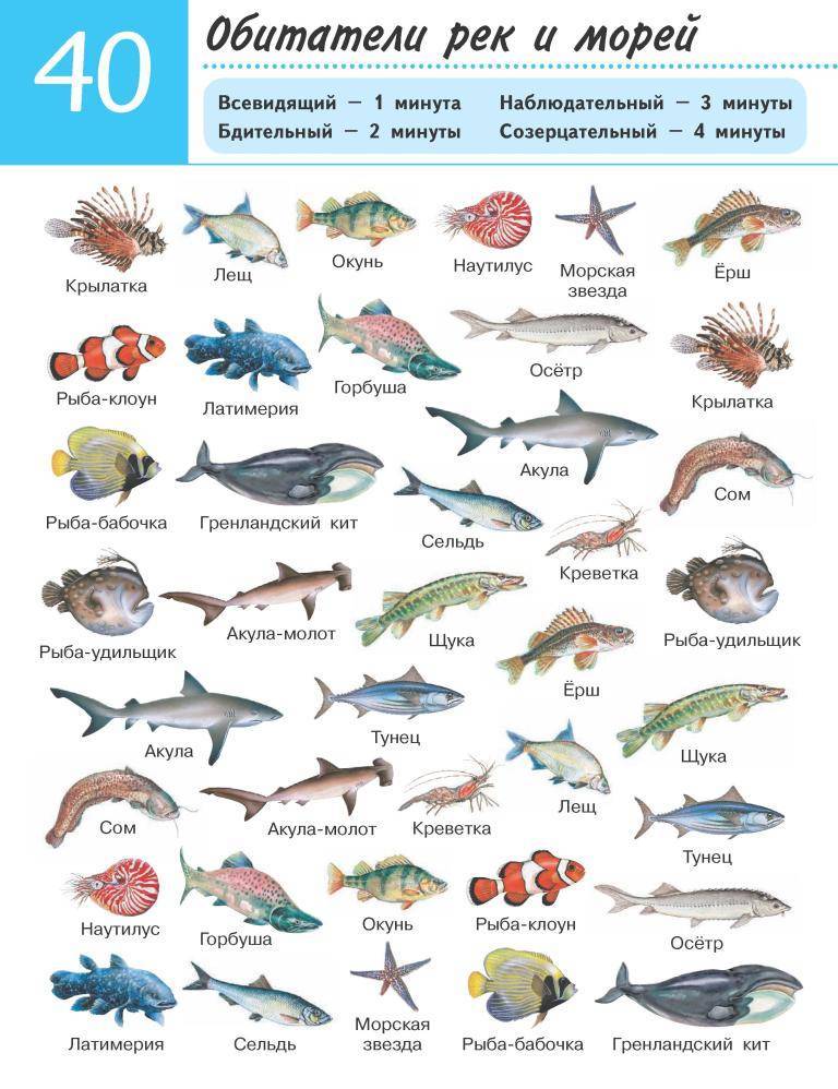 Рыбы без чешуи. названия описания и виды рыб без чешуи
