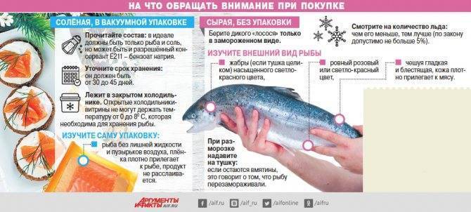 Способы сохранить рыбу при длительной рыбалке в жару
