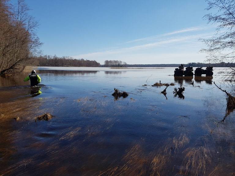 Озеро велье в новгородской области