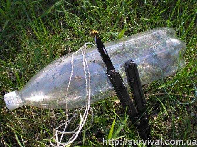 Как наловить живца? как поймать малька для ловли хищника осенью и летом в реке? быстрая ловля с поплавком для щуки, на бутылку и другие способы
