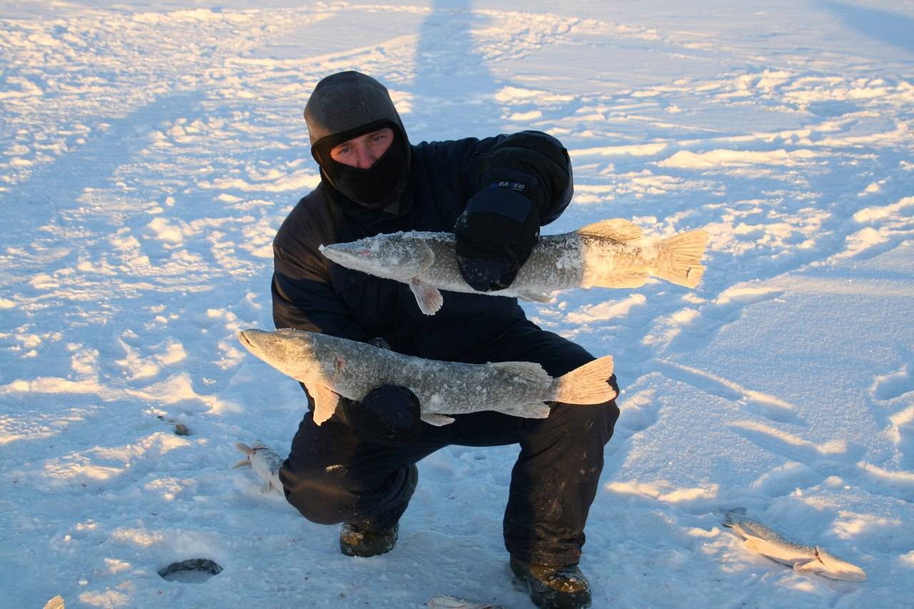 Зимняя рыбалка. на ямале добыто уже около 400 тонн рыбы - иа «север-пресс»