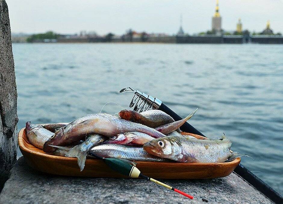 Рыбалка на финском заливе. рыболовный форум, отчеты на карте