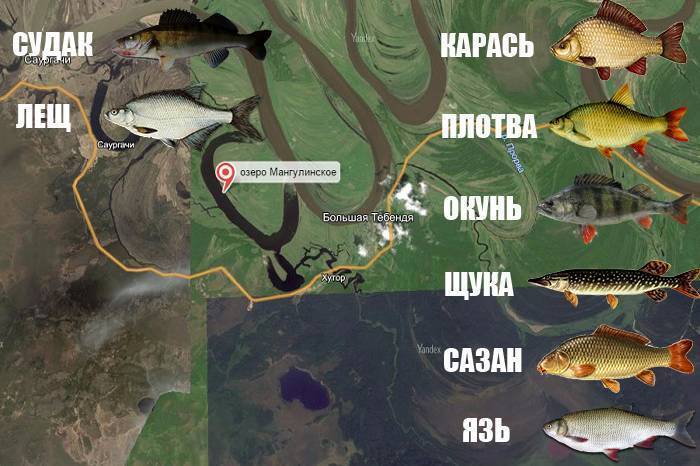 Рыбалка на красноярском водохранилище: рыбные места, отзывы