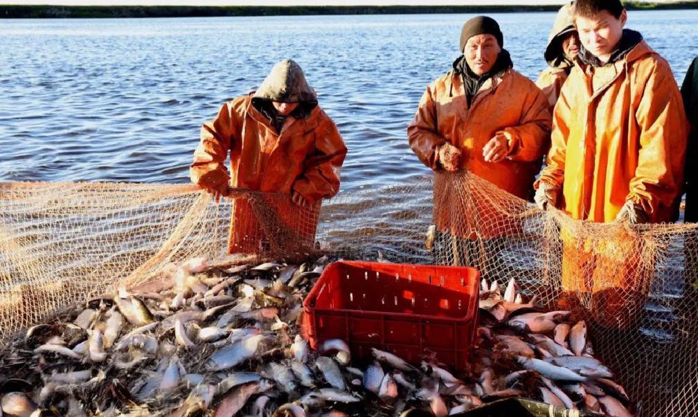 Рыбалка в ямало-ненецком автономном округе - читайте на сatcher.fish