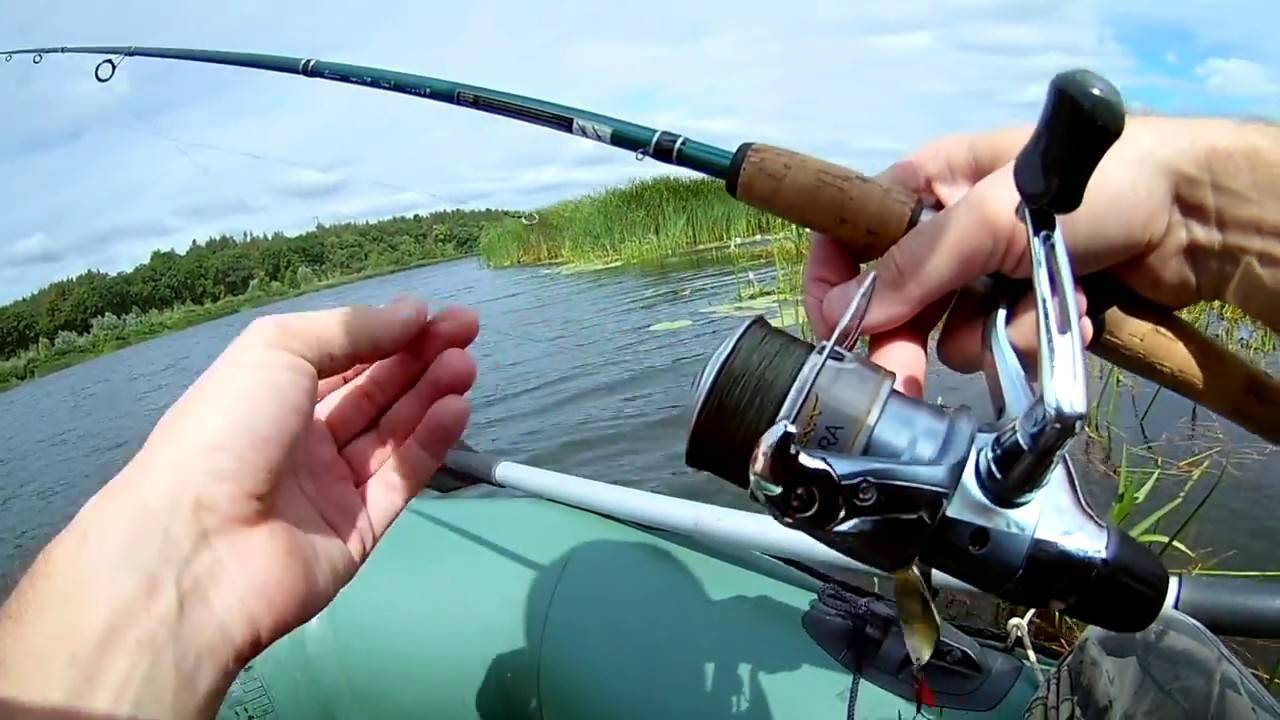 7 лучших способов и наживок для ловли сома – рыбалке.нет