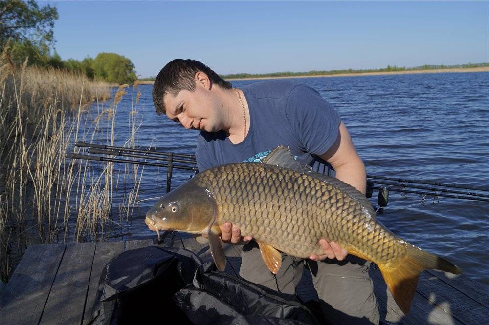 Рыбалка в белгородской области: зимняя рыбалка - пруды, водохранилища и реки