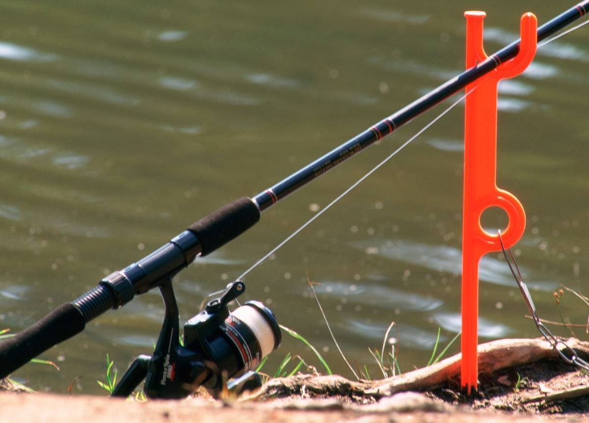 Как выбрать удочку для летней рыбалки? советы, видео — журнал "рутвет"