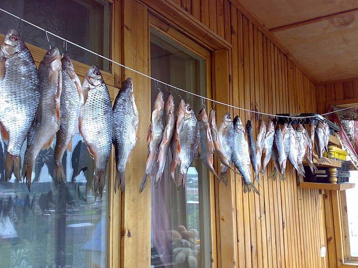 Как хранить вяленую рыбу в домашних условиях, чтобы она не пересохла — описываем по пунктам