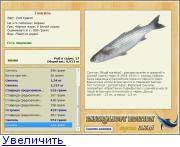 Рыба сиамский водорослеед: содержание, разведение, совместимость